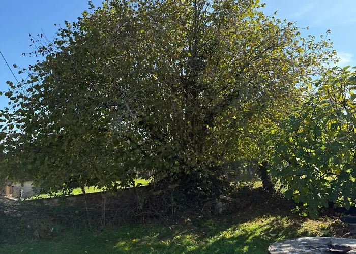 Casa vacanze Chez Le Cavalier Génis